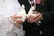 Two white dove in the hands of newlyweds close up