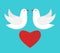 Two white doves flying above red heart and looking at each other on turquoise blue sky background. Love, wedding day and peace