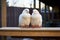 two white doves perched on a wooden stand