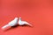 Two white doves, symbol of love, kissing on red background