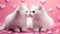 Two white fluffy cats in love are sitting next to each other on pink background with hearts