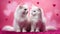 Two white fluffy cats in love are sitting next to each other on pink background with hearts