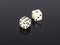 Two white gaming dice on black background