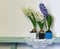 Two white hyacinthus with watering can and garden tools on wooden plank