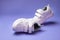 two white kid running shoes with velcro fasteners for easy children's footwear, isolated on a purple background