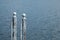 Two white mooring poles