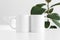 Two white mugs mockup with workspace accessories on a white table and a ficus plant