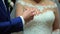 Two White People Groom and Bride Exchange Wedding Rings