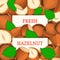 Two white rectangle label on hazelnut fruit background. Vector card illustration.