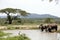 Two white rhinos in a NP, Africa