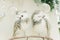 Two white snowy owls on a brach. Interior decoration