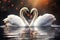 Two white swans. making heart shape in the water. Romantic background.Valentines day, lovve concept
