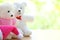 Two white teddy bears wear pink shirts and red bow with pink Christmas cap on wooden table on green,yellow and white bokeh