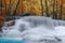 Two white tiger at Waterfall in deep rain forest jungle