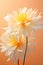 two white and yellow flowers in a vase.Gouache Painting Thistle Marigold, Perfect for Wall Art.