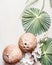 Two whole coconuts on light background with tropical leaves and flowers, top view, frame. Copy space for your design: product or