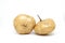 Two whole fresh raw jicama, mexican turnip, yam bean, Pachyrhizus erosus or singkamas isolated in white background.