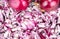 Two whole red onions on a background of finely chopped onions
