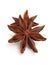 Two whole star anise in closeup