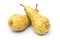 Two whole, uncut `abate fetel` pears
