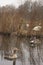 Two wild Greylag geese in a Scottish river