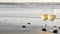 Two wineglasses on ocean beach. Glasses with white wine for romantic date, sea water. Sunset waves.