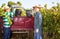 Two winemakers with buckets of ripe grapes during harvest