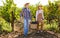 Two winemakers carrying basket with harvested grapes