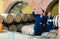 Two winemakers with sample of wine in cellar.