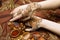 Two womans hands mehendi picture orange bright fabric with pleats