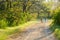 Two women with a child strolling through in the park