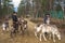 Two women feed reindeer, Sami, saami village on the Kola Peninsula, Russia. Tourist ethnographic parking. Settlement Old Titovka,