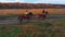 Two women are galloping ginger horses on the autumn field