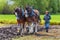 Two women guide a plow pulled by draft horses