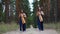 Two women harpists walk at forest and play harps on background of pines.
