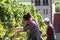 Two women harvesting grapes