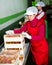 Two women packaging fresh apricots