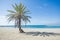 Two women relaxing at seaside under the palm