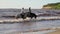 Two women ride on horse at river beach in water sunset light