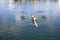 Two Women Rower in a boat