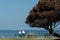 Two women in straw hates on a bench near Edmonds Ferry Port