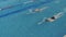 Two women swim synchronously freestyle in swimming pool