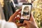 Two women talking to each other through a video call on a smartphone. Senior woman having a video chat with a girl on mobile phone