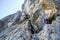 Two women on the via ferrata route at Prisojnik Prisank in the Julian Alps, Triglav National Park, Slovenia. Mountaineering.