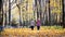 Two women walk Nordic walking through the autumn forest. Falling maple leaves