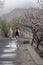 Two Women walking on a road in Nagar Valley during Cherry Blossum season