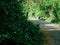 Two women walking on an unpaved road in the morning