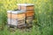 Two wooden beehives stand in the middle of a blooming rapeseed field. The rear hive is higher than the front. It\'s spring in
