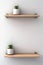 Two wooden shelves with plants on them against a white wall. Generative AI image.