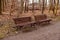 Two wooden sitting benches around a park in Berlin Germany